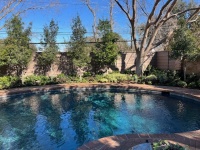 72893214588__720E6E06-A562-43E0-AA9F-FEB3738D0383