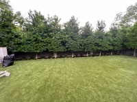 73577860315__2B79C506-BCDC-4195-A3FC-DBDA1E7AF3F0