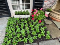 73577025491__FEBDF259-504F-486E-BE61-99115C4D4F82