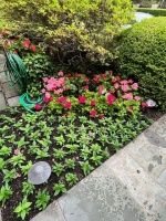 73577024799__1A8BD2DE-1E75-4405-A099-FEF2A30546EB