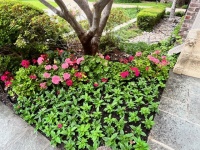 73577024050__A04D0D36-93E2-425B-9A04-A850A2042528