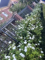 74965694612__7B065652-D0D2-458E-95F6-82488CAD6D97