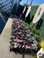 75564244898__EA135C18-1E86-4EAB-BD90-66ACE6A28CCF