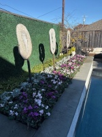 75564248797__F9297621-C064-48B2-A699-4B4772BF6FBB