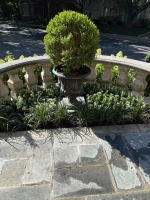 77266880078__4A04F6FF-C8D5-43C9-9D6C-EC50D69C9B68