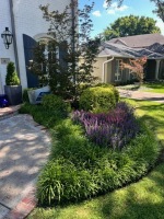 77273272485__0C988325-1701-498B-9120-BC7AE6C5881B