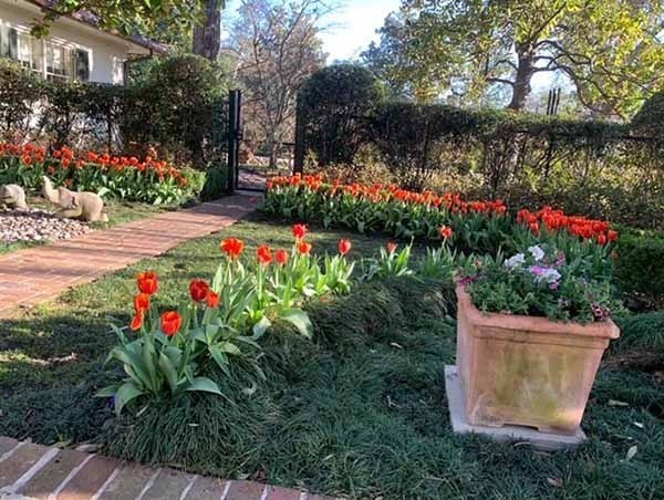 0562CEDB-B799-4F91-9D85-8FF11410C0BF