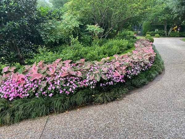 091733F7-62B3-4C93-949E-582B8E82F7A8