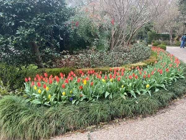 0A3C7813-2095-4A5E-9713-E0E9A3C96E7A