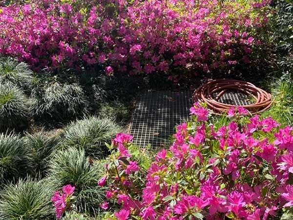 10ED0661-207E-4481-8C27-BCA7BC8106FD