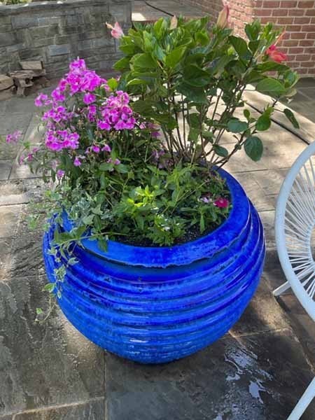 1_70380826259__09494334-2CDA-4544-AE3A-F8CE356F79EB