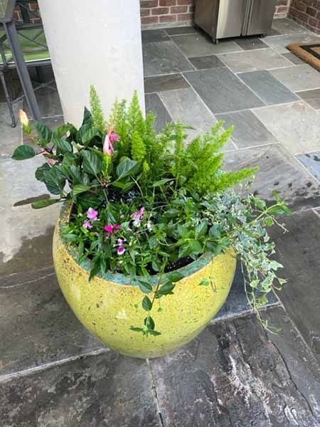 1_70380831686__7DADB90F-6D6B-4E3C-8A66-FFA24FE3552B