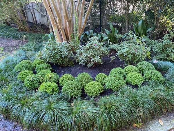 3AE62DC4-9199-4A72-A367-CA49D4089E39