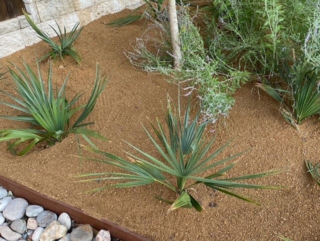 3B423BAD-C9DC-40C0-BE43-77C230D3E0A1