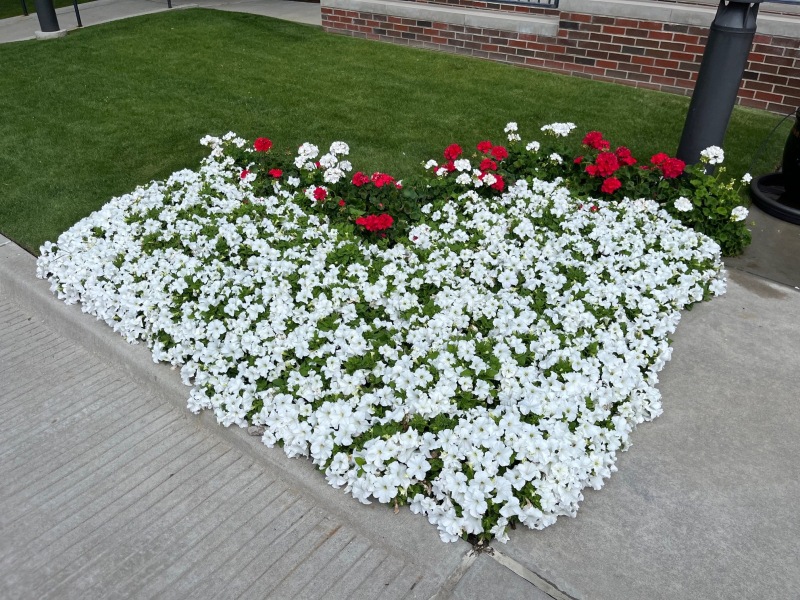 79805128009__190CA48C-06DD-4FEE-AED2-2B1FE54A46A7