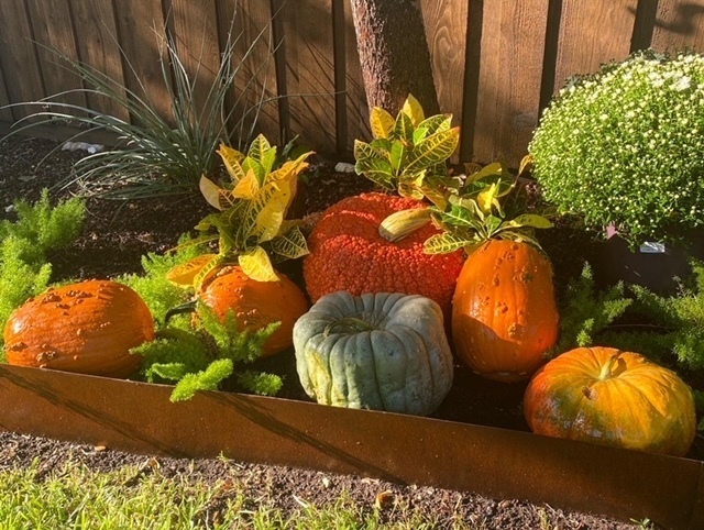 4401F5D6-A23E-46CE-9308-57D24D7565B1