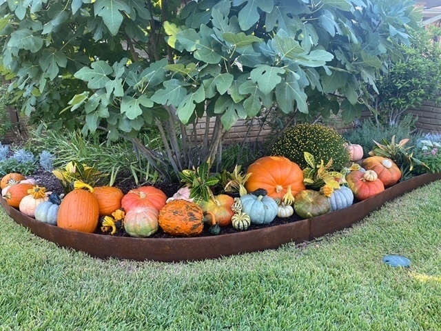 44A8F66B-21D6-43AD-B272-EE8CB9FF28CC