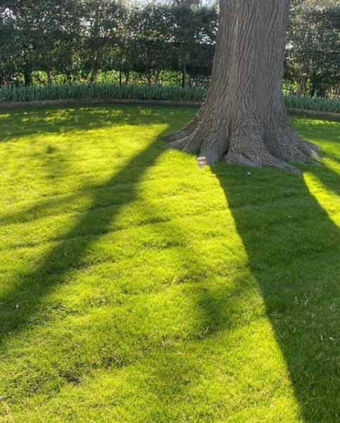 0F59F674-8F93-4D04-ABED-DB3A3F463A67