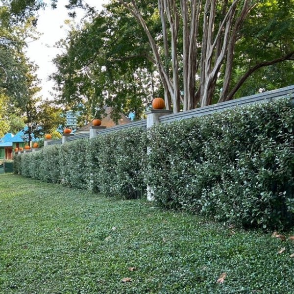 28723E0C-A221-4C27-AEBC-83C882FC9EB3