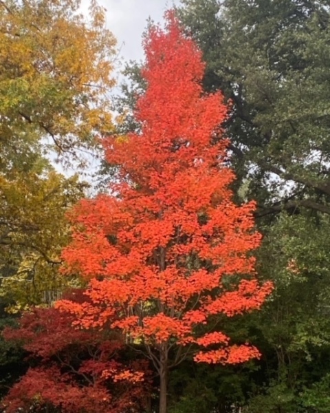 F192C935-3347-44A8-92F0-B3F6444F241F