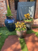 1_IMG_4398