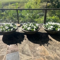 78363732966__B226EF72-0BFD-44D4-9BD2-387E71C2714D