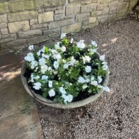 78363734563__82291512-CE9C-4818-B2BA-8ECF9922E4E3