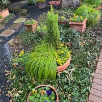 78467804210__30518DEE-3603-4D23-B876-D0D29AA12147