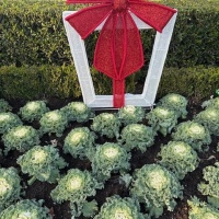 78467923032__DECB4615-E639-47F0-8427-90EFB3FC06361