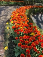 IMG_0888