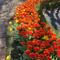 IMG_0888