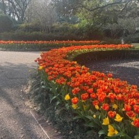 IMG_0907