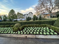 IMG_0908