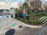 IMG_0909