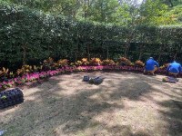 IMG_2494