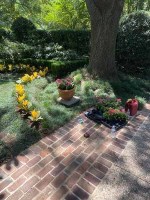 IMG_2498