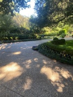 IMG_4019