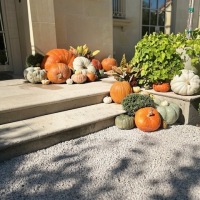 IMG_4358