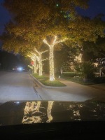 IMG_4510