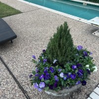 Screenshot-2025-11-03-at-7.13.12 PM