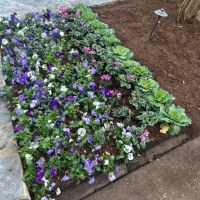 Screenshot-2025-11-03-at-7.14.40 PM