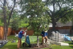 060A1EAD-2854-47C9-AC87-2B4EF174B47C