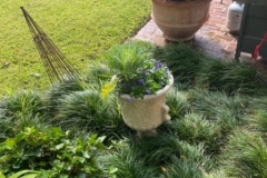 1F019B84-1922-4DA0-92F8-C6E74AE4C9E0