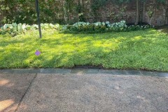 38A9D800-C756-4F58-B432-C996CA08CE9C