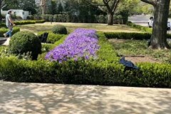 53F4F69D-CAAB-445C-AF66-6397C0AD1EE3