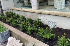 56E106FB-01E9-45C1-9768-8790CC0CA418