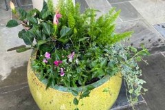 70380831686__7DADB90F-6D6B-4E3C-8A66-FFA24FE3552B