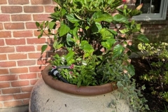 70380878006__6E5B0274-3036-4F70-BFB1-0C2323C4A1C5