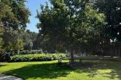 71796051157__C95466DB-B45C-47EC-8A1C-61CAEC11BB92