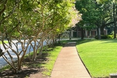 71796081906__6DBFCDD4-CCC3-4E2B-A7D9-A25F146FD333